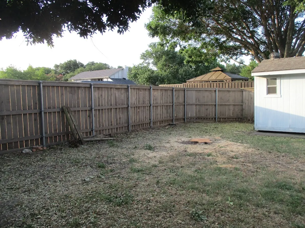 Cleared yard after professional tree removal in North Arlington